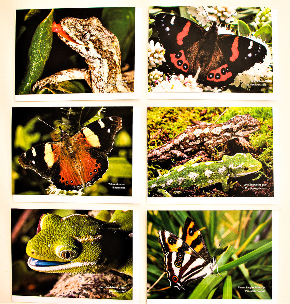 Range of geckos and butterflies featured on greeting cards