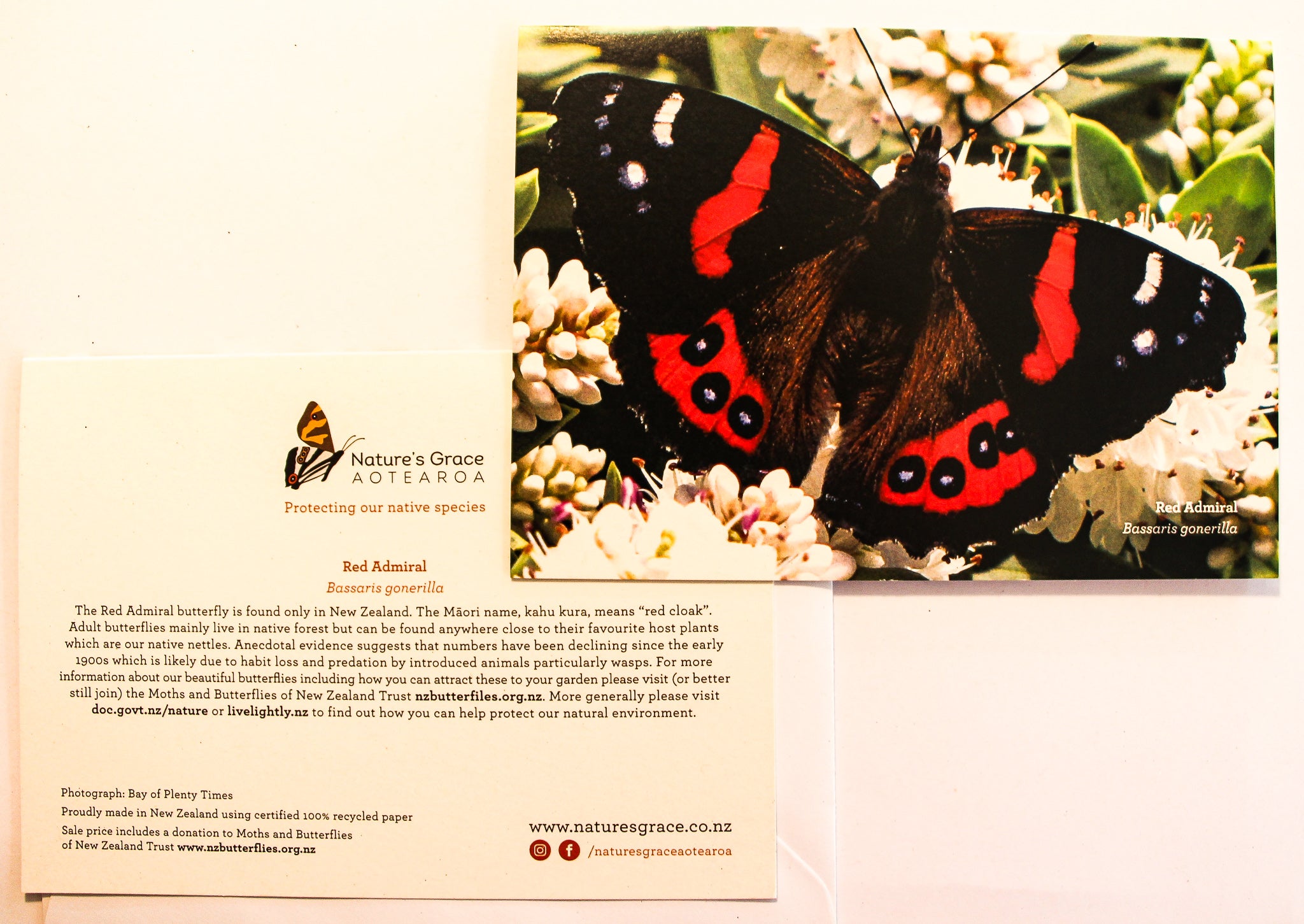 Endangered red admiral butterfly on Hebe with educational information on greeting card