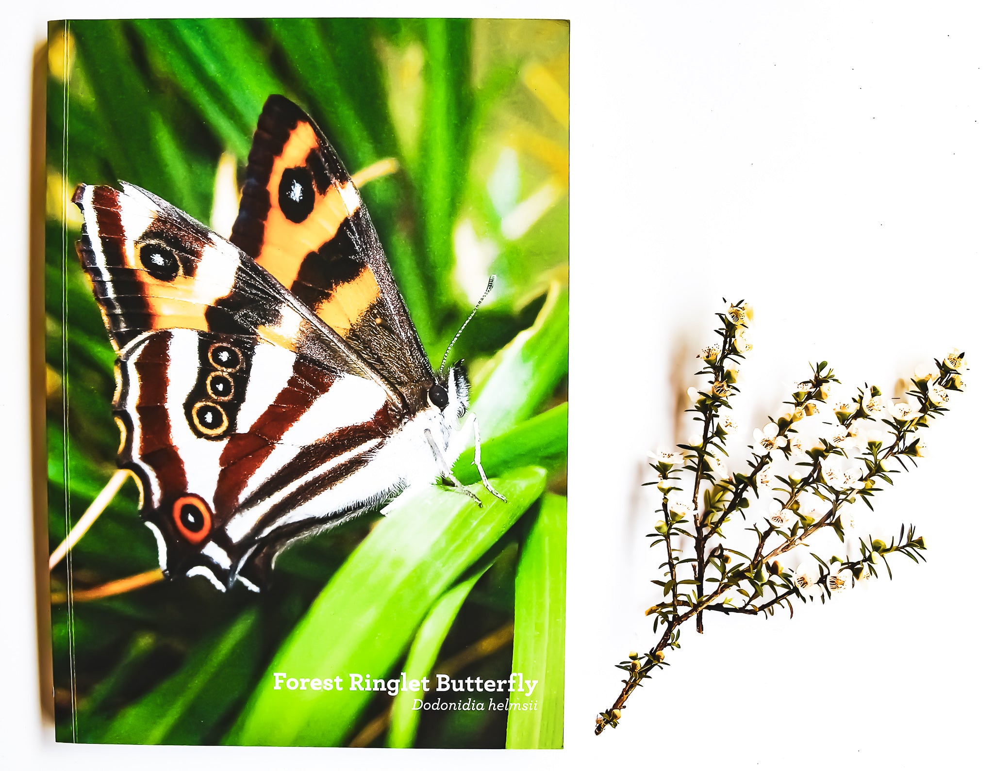 Forest ringlet butterfly A5 journal with manuka alongside
