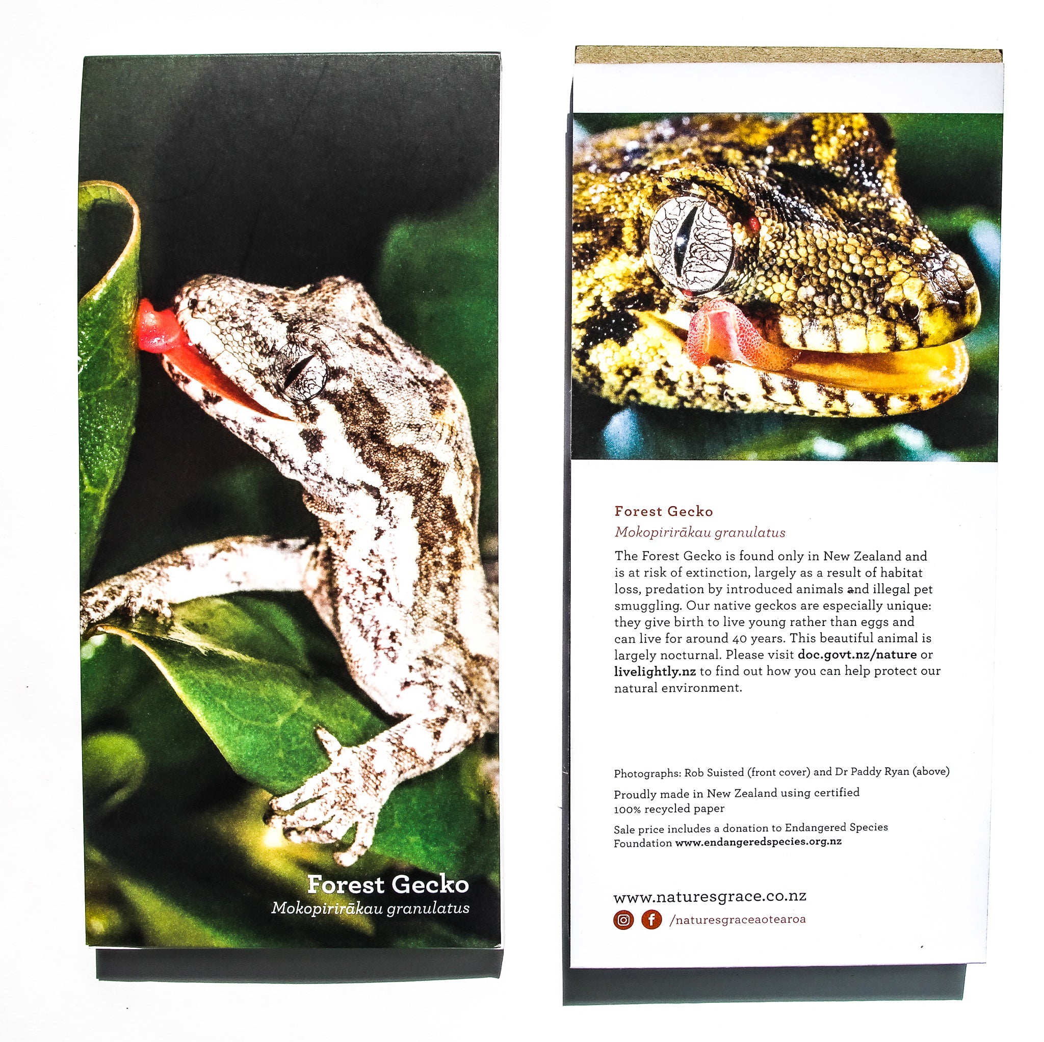 Forest gecko notepad covers with educational information 