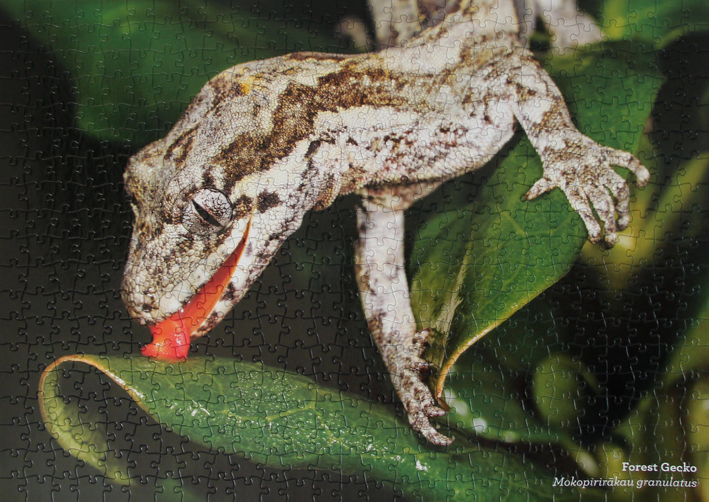 Completed eco-friendly jigsaw puzzle featuring native endangered gecko
